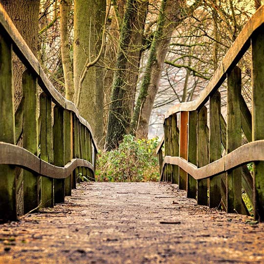 山东滨泰农牧科技有限公司